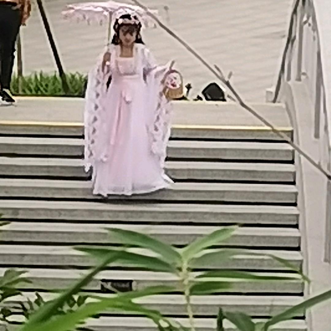 华心