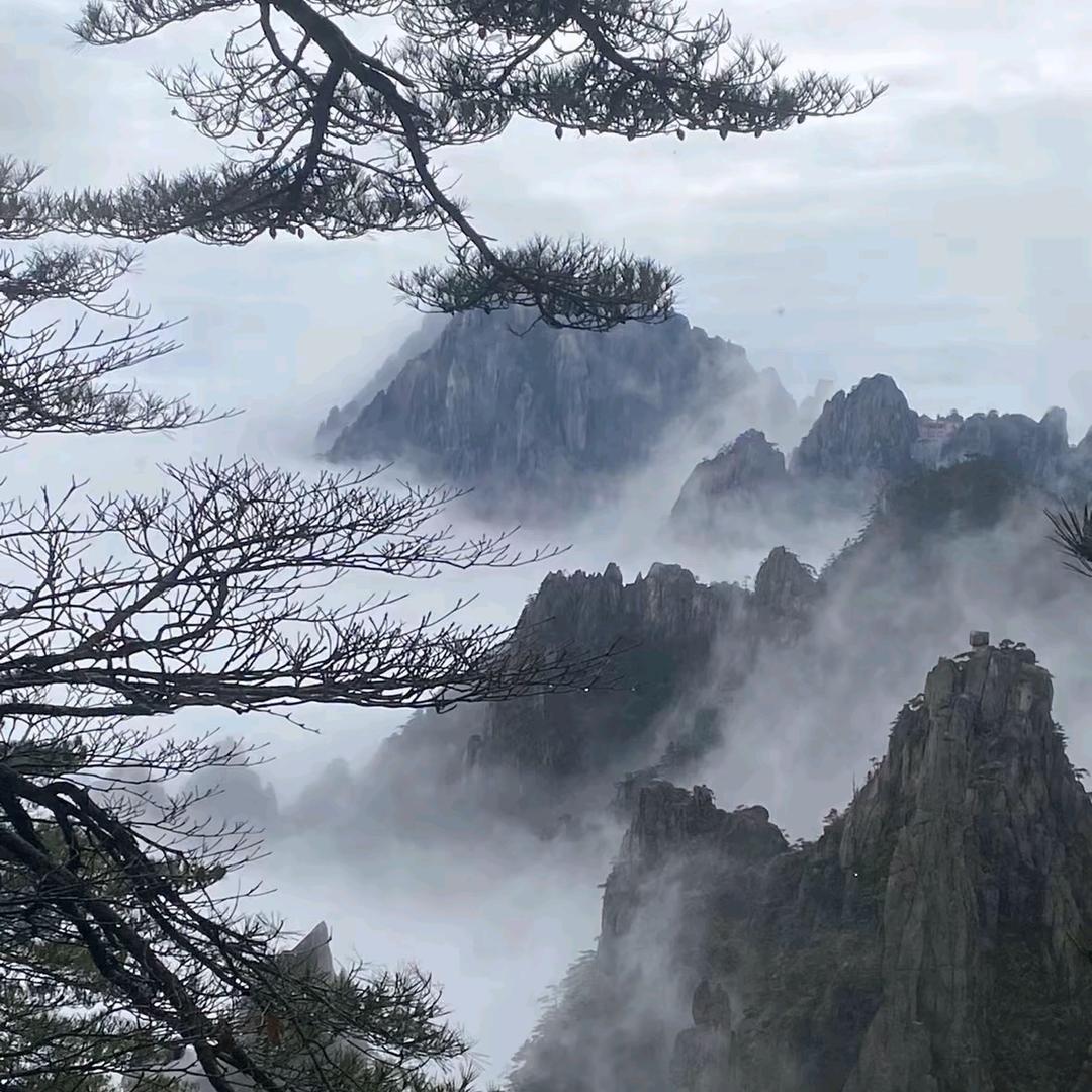 大家好我是世界首富