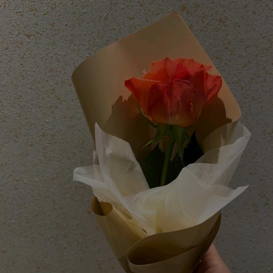 随遇♥而安