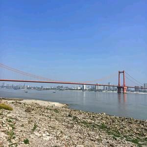 善良必须带点锋芒