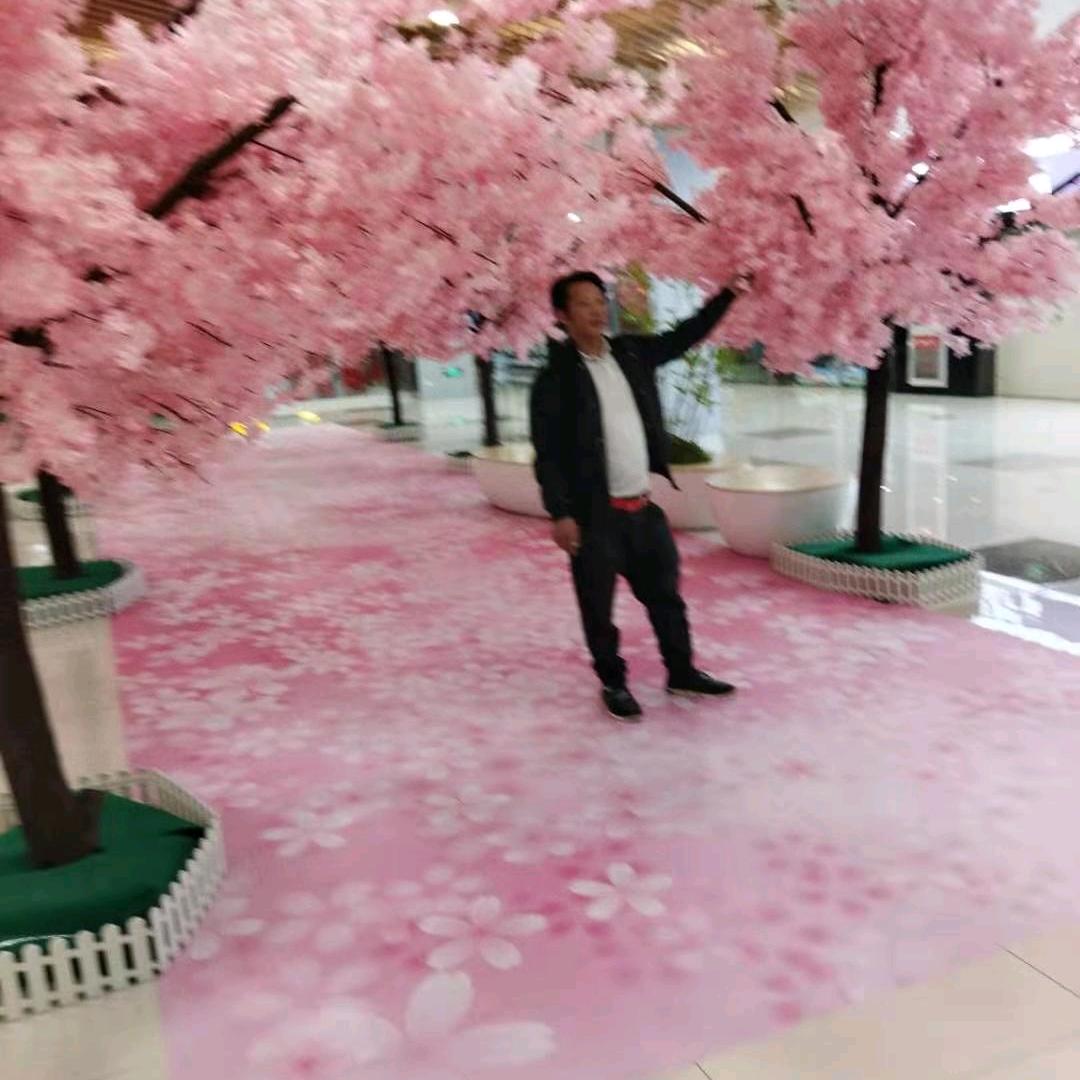 漂游四海，四海为家一帆风顺