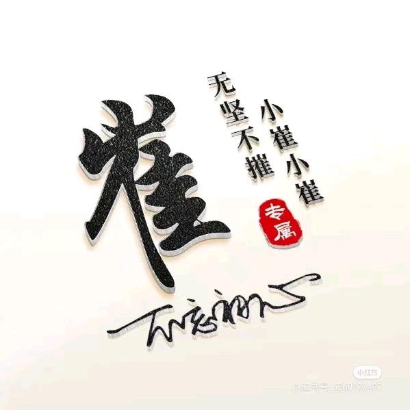 青藏源~崔