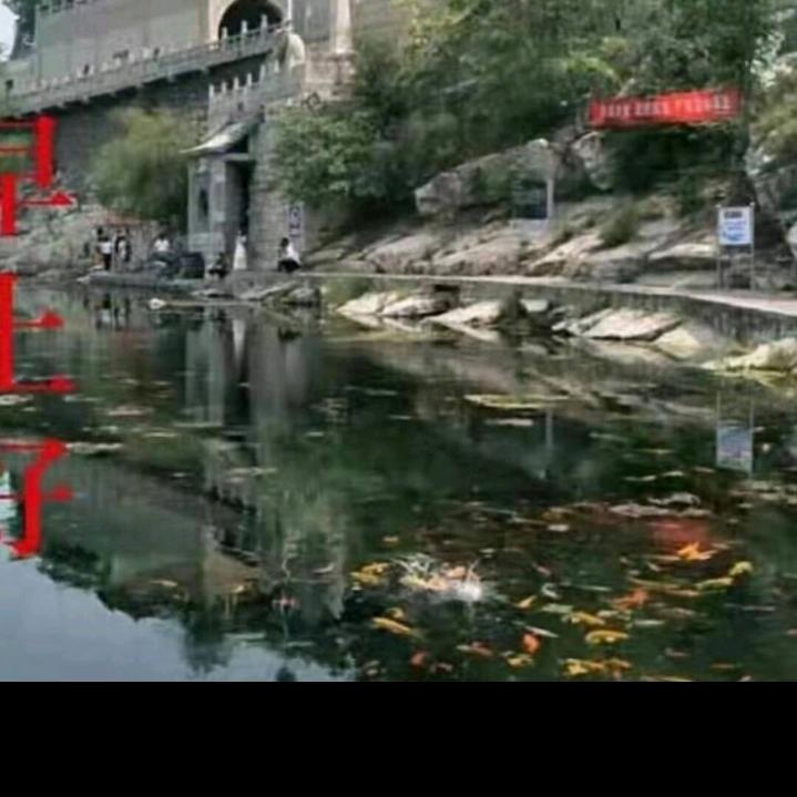 一直在路上