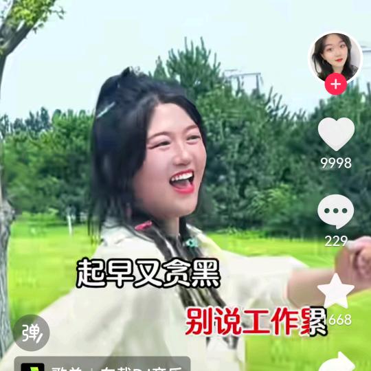 林下放养苞谷鸡