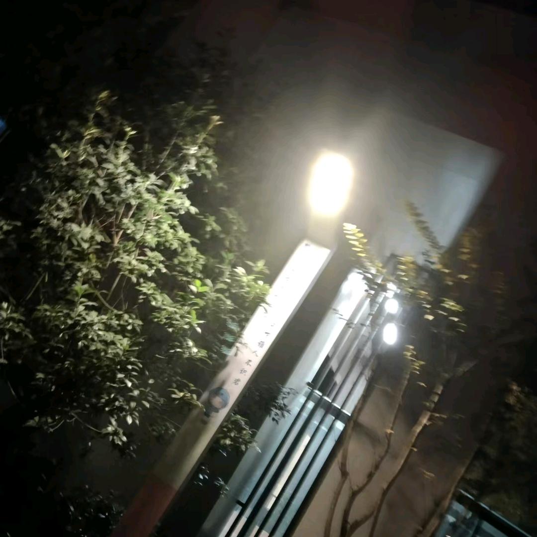 开心快乐每一天