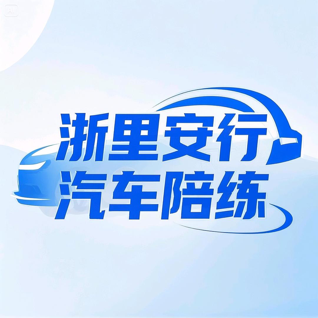 浙里安行汽车陪练向教练