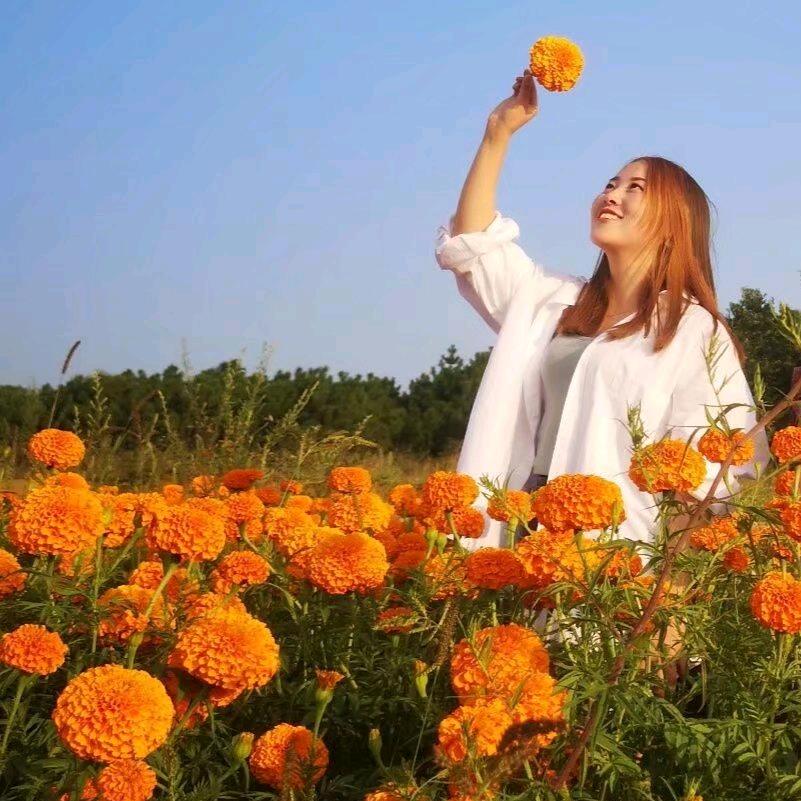🌻只发财不烦辛🍊