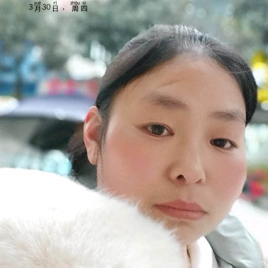 四月的梅花