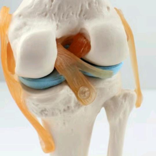 交叉韧带半月板损伤康复锻炼！