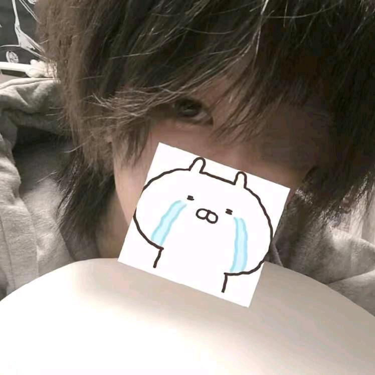 窝系呆