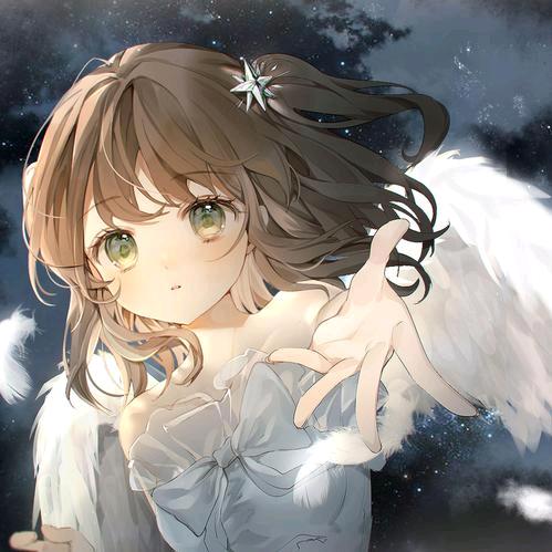 山茶