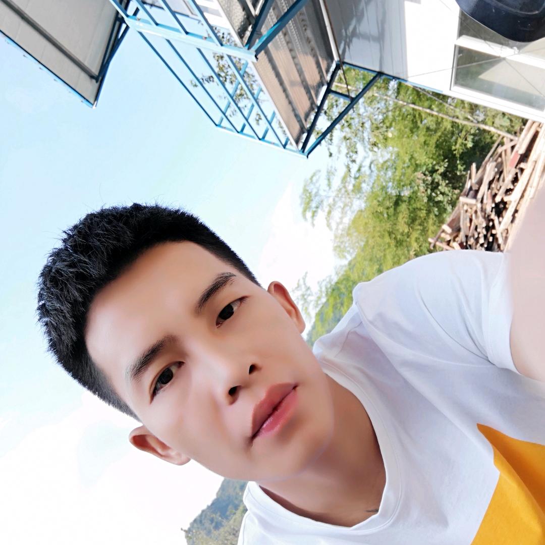 阳光下的泡莫