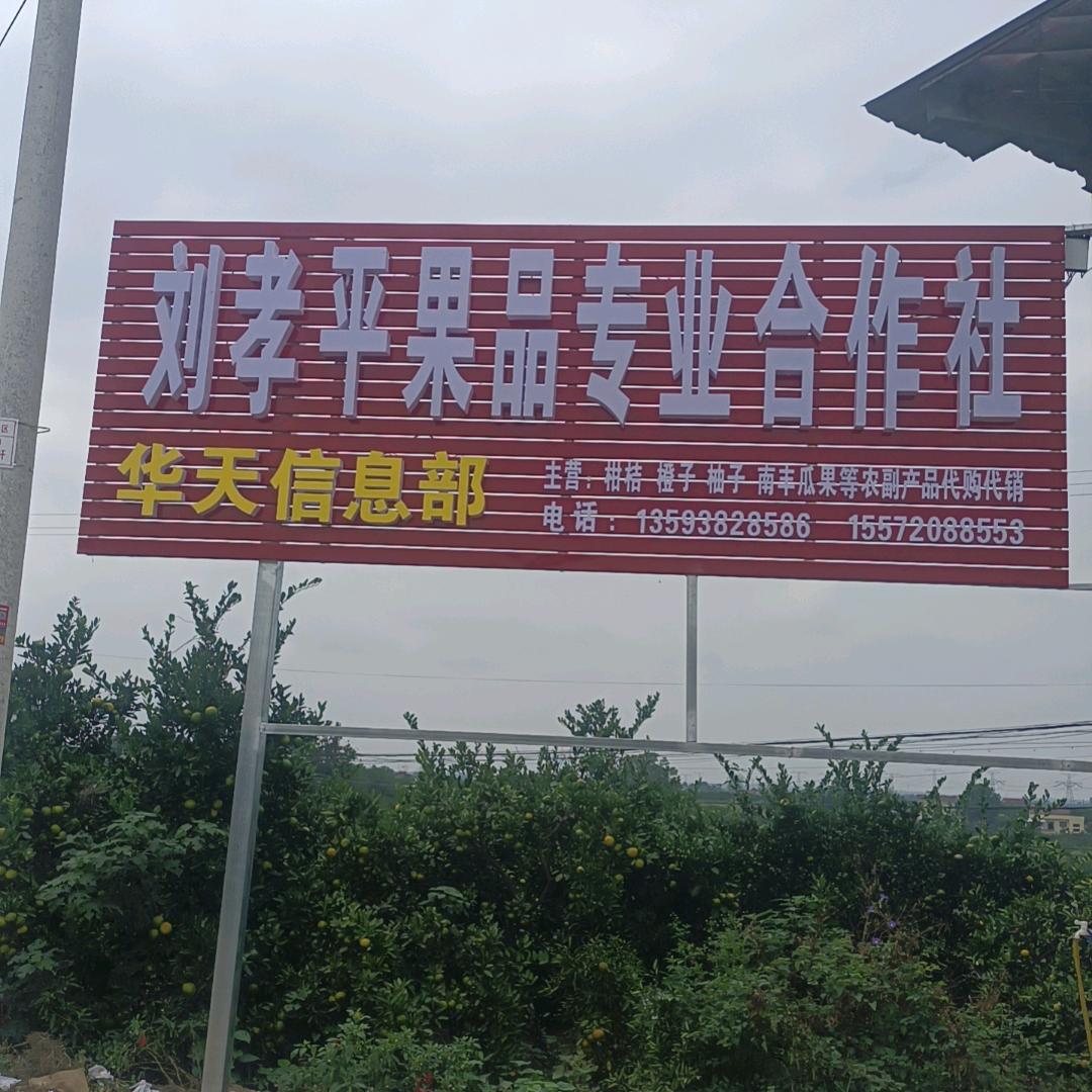 刘孝平