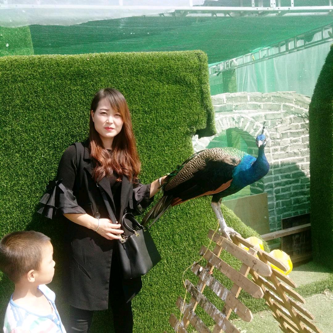 🌿不负🐉余生🌿