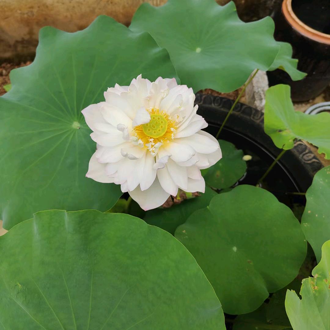 安装维修空调冷却塔