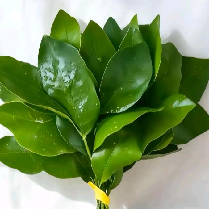 谢语花