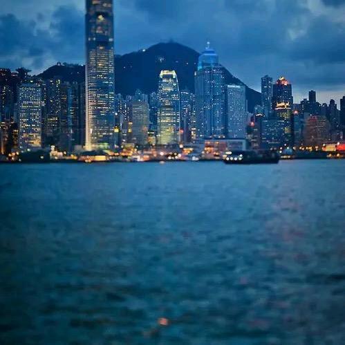 香港lily