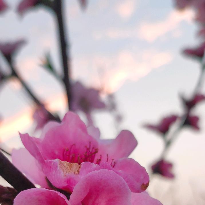 小阮姐姐的日常