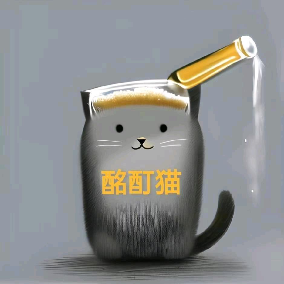 睢县酩酊猫精酿啤酒