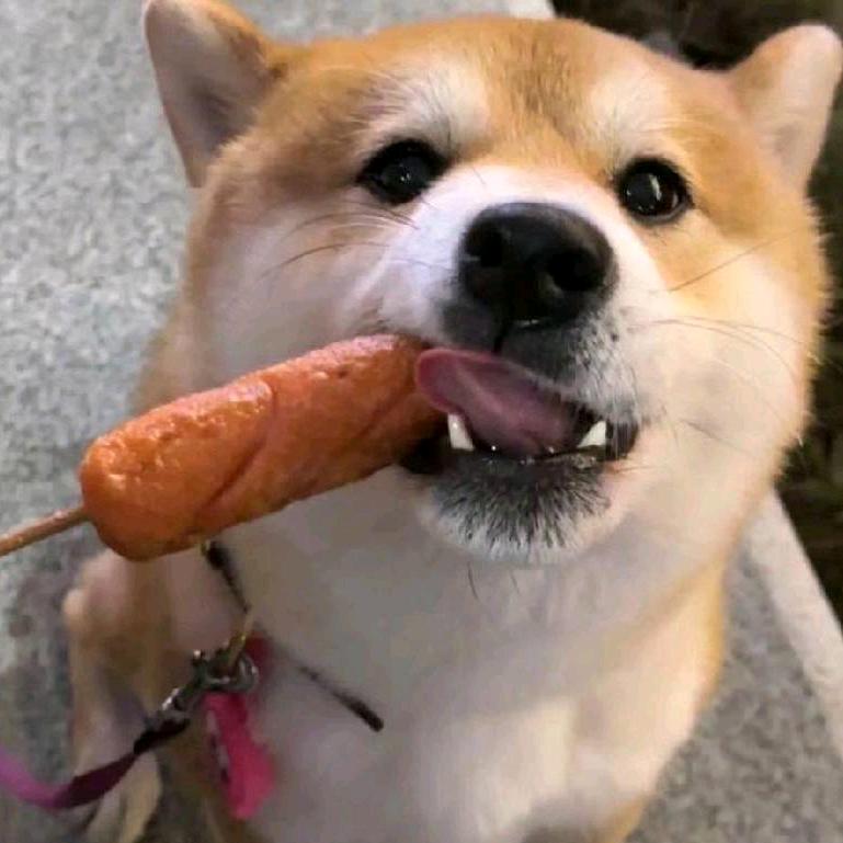 狗羊(三角洲行动)