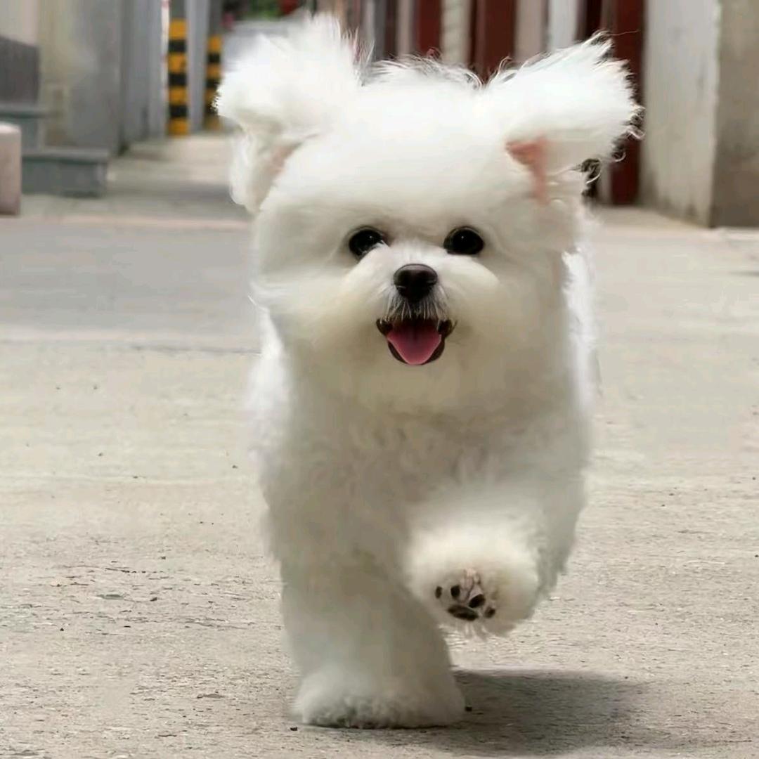 干嘛呢孩子干嘛呢