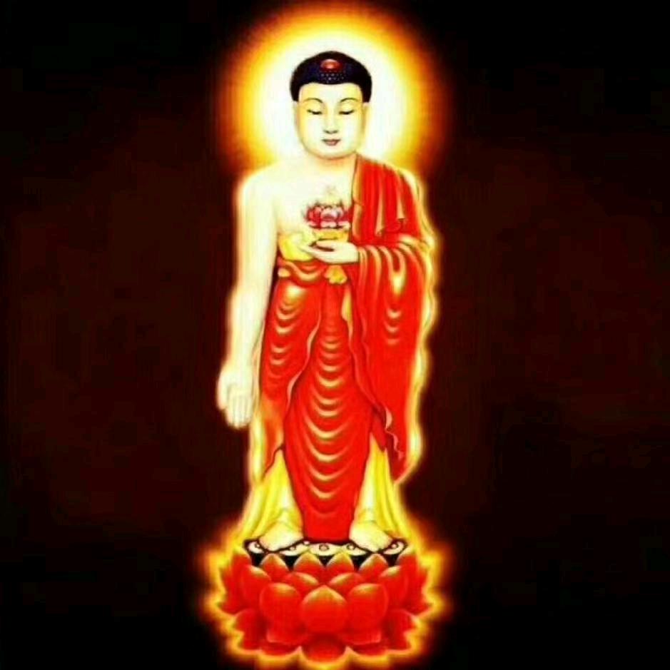 信愿行