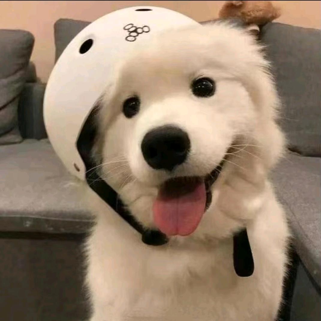航天第一游龙