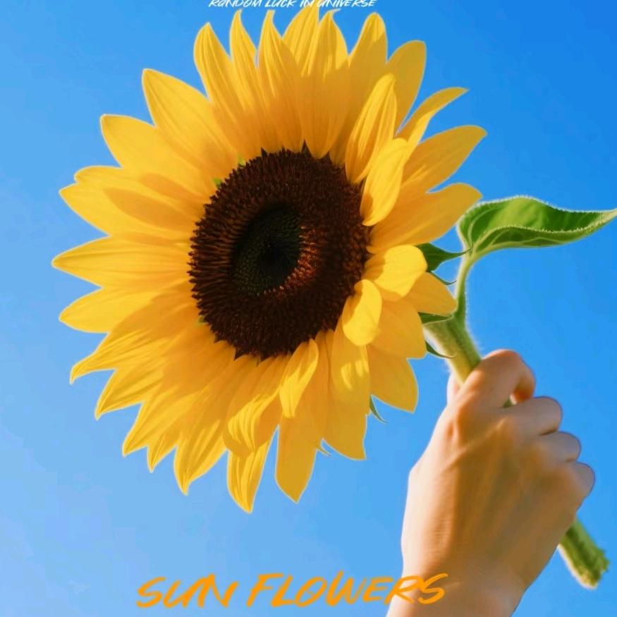 星途艾米老师聊升学