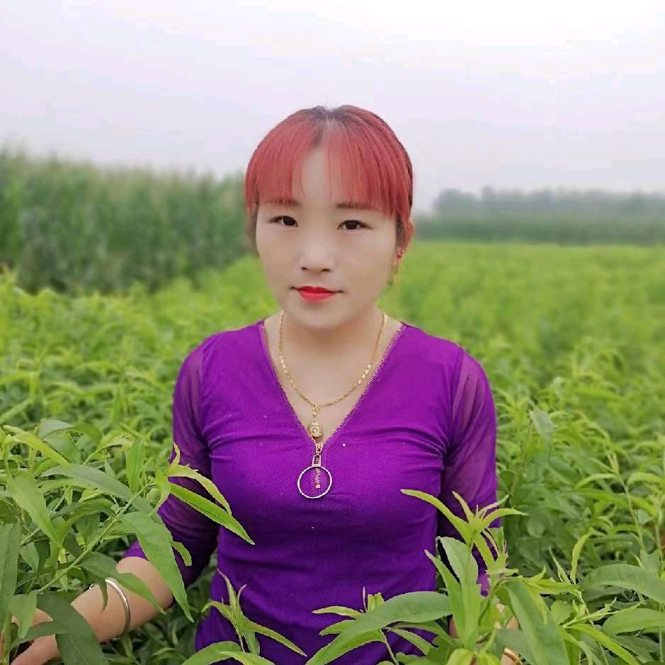 雪珍水果苗木，农资，种子