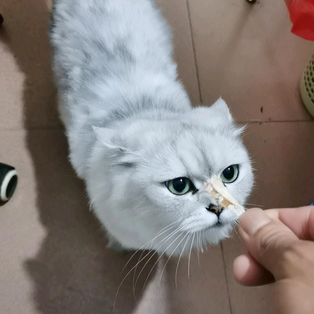 小陈快速搬运