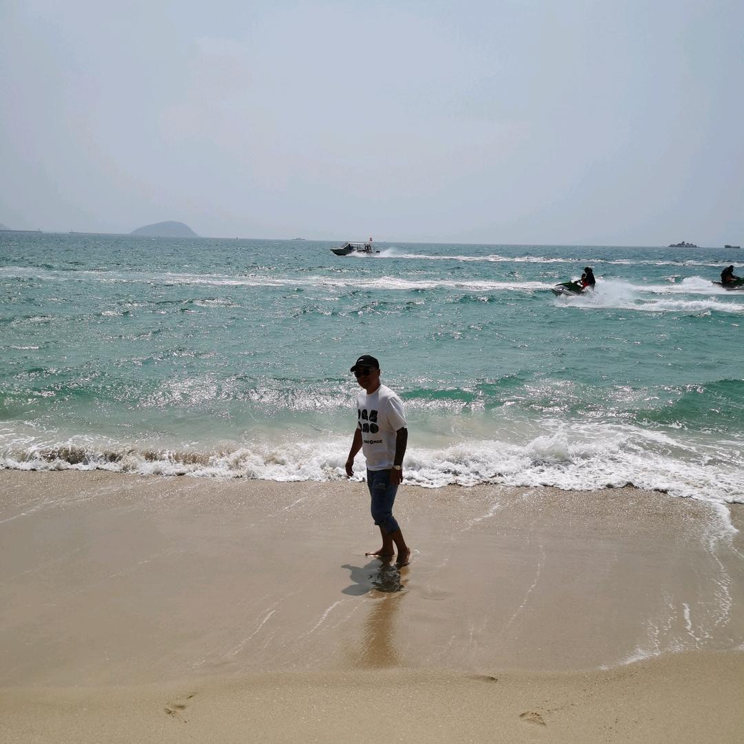 南瓜批发—陈义