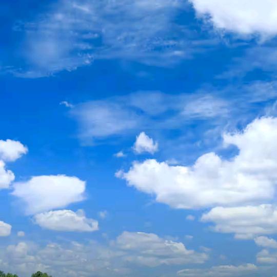 好玩不过星期八