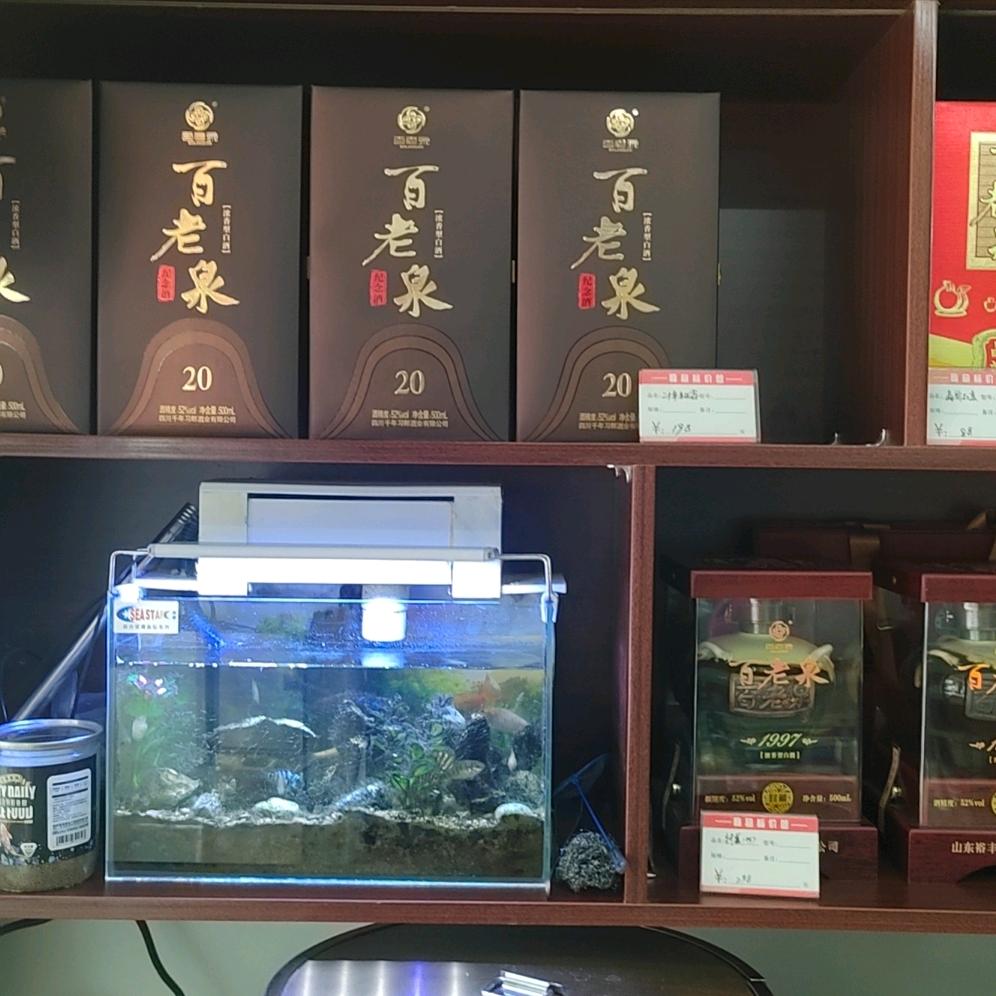 攀枝花百老泉总店二姐