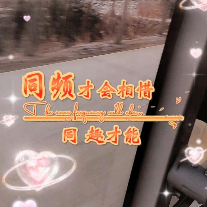 泽妮妈妈（213）