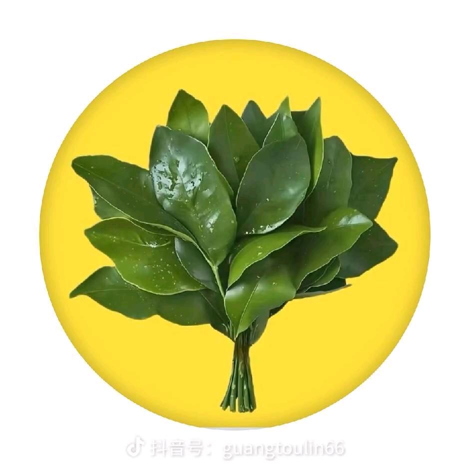 小找一个家上门的没一个真心的😅