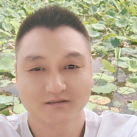 心若不动风又奈何