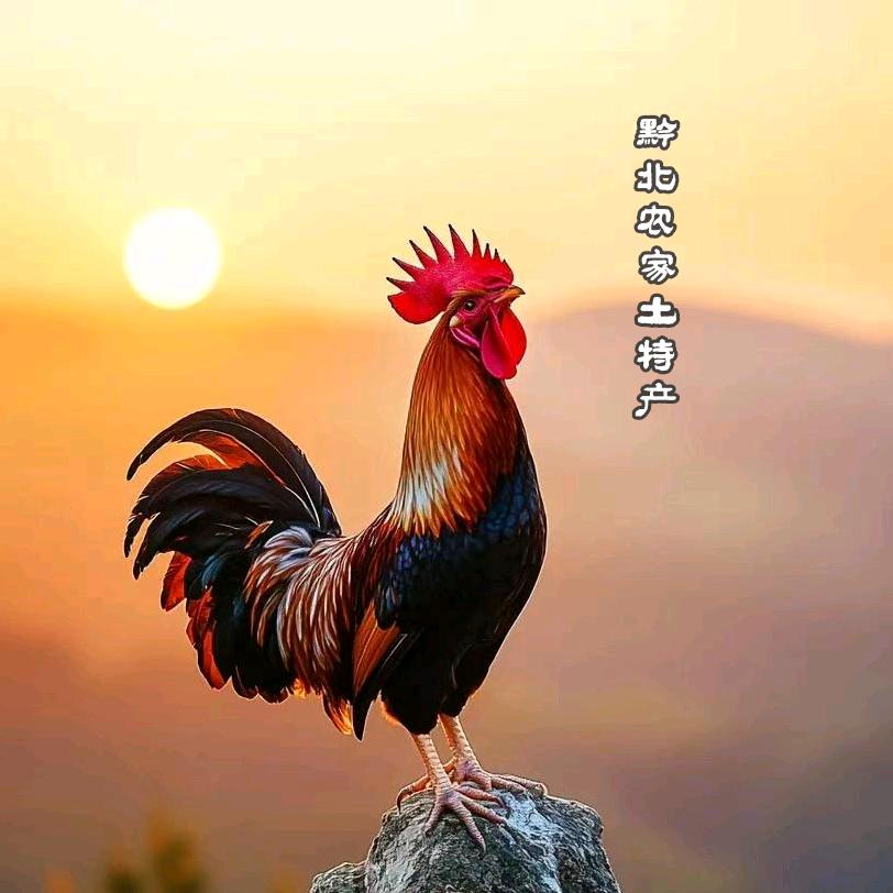 黔北农家土特产