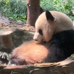 顶级剑客