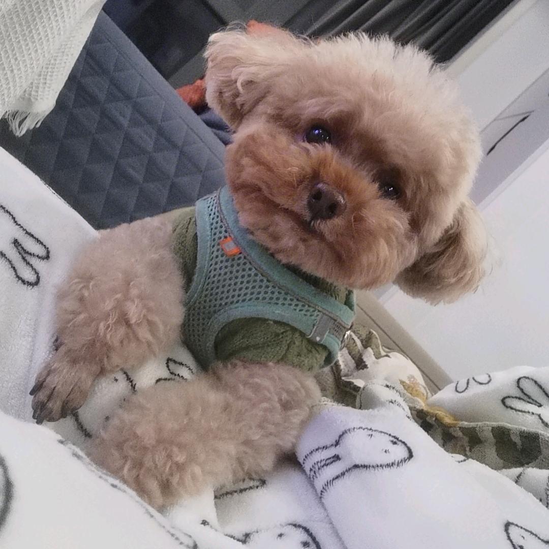 Zoe杂货铺