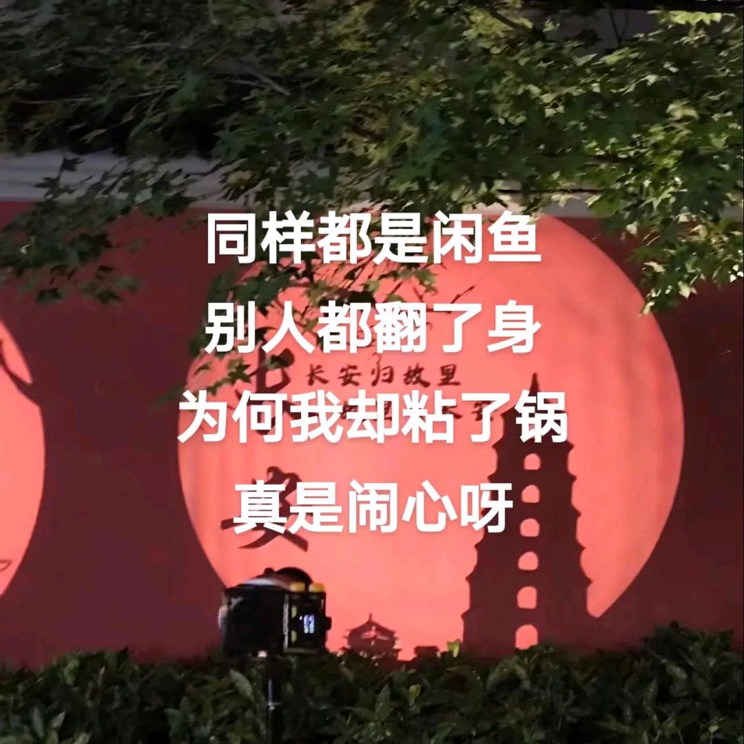 往事清零l