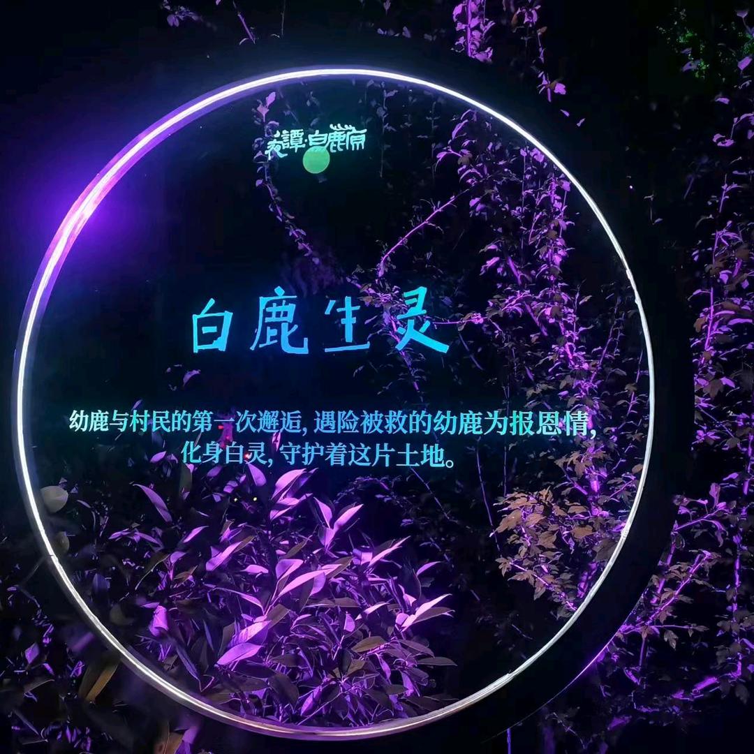 美丽俊晴