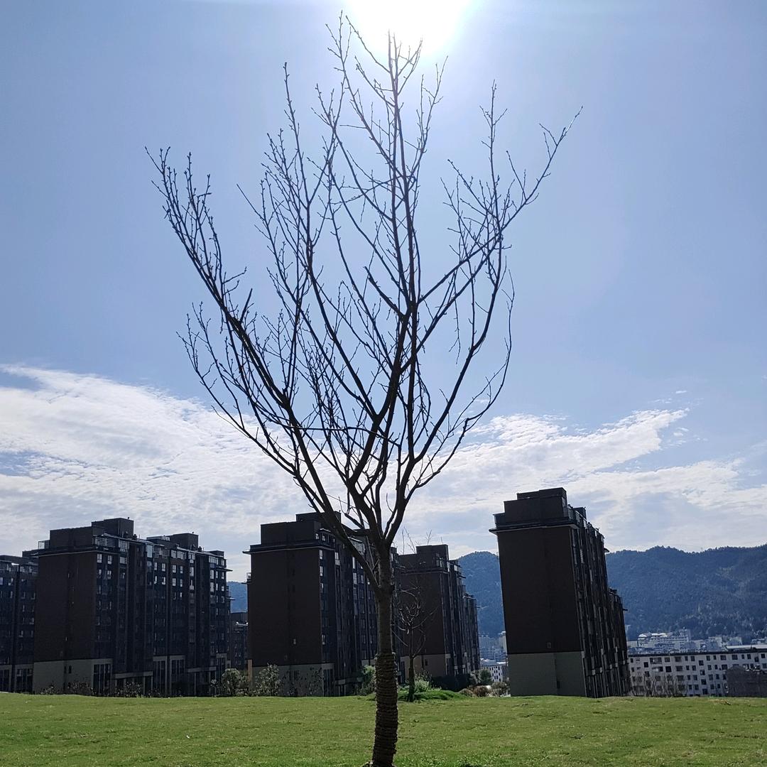 人海浮浮沉沉