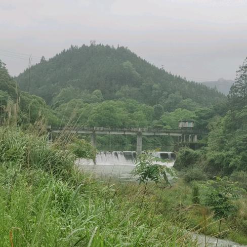 大山🍀