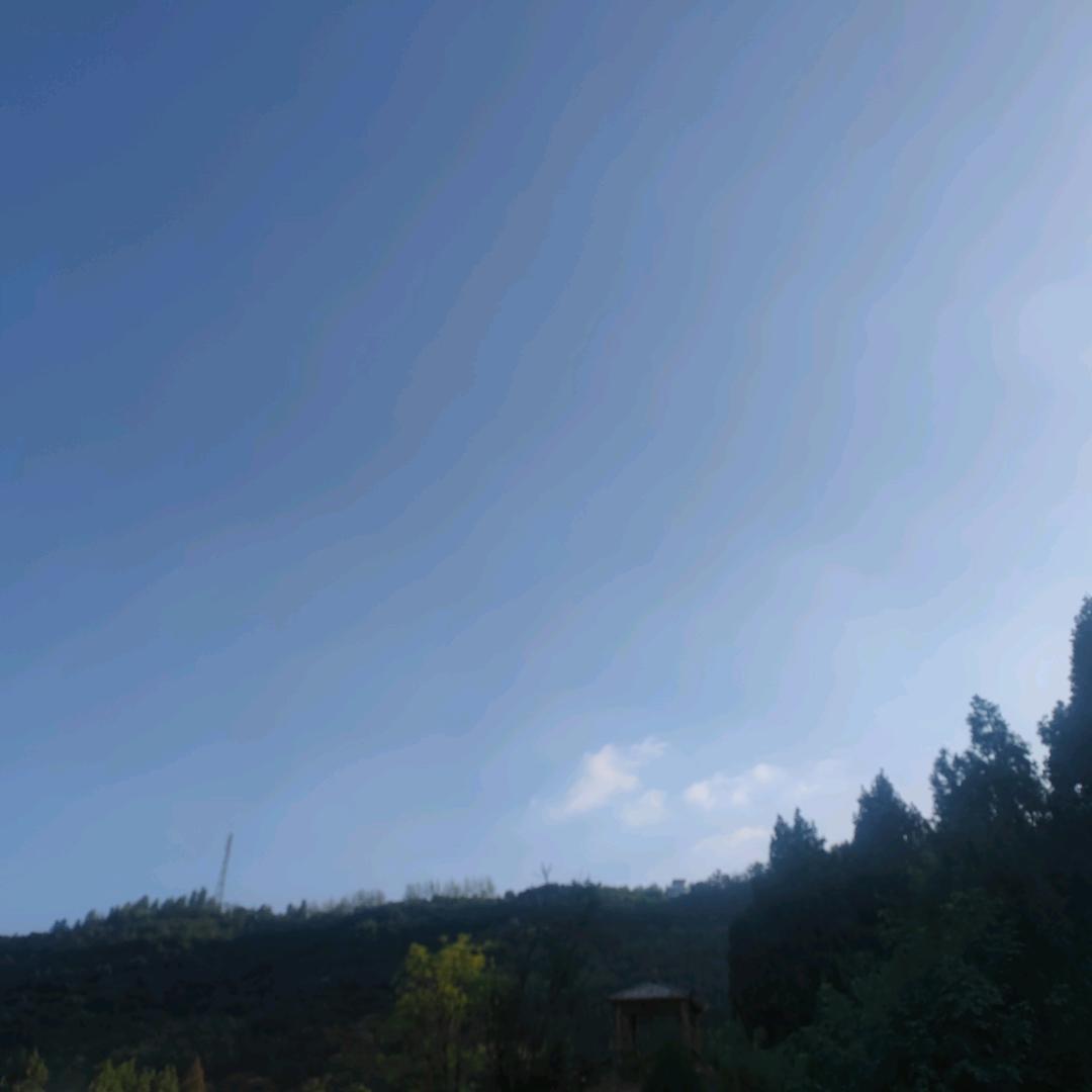 果宝
