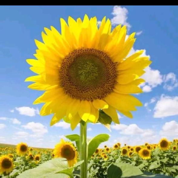 梅山筋骨堂（天津店）