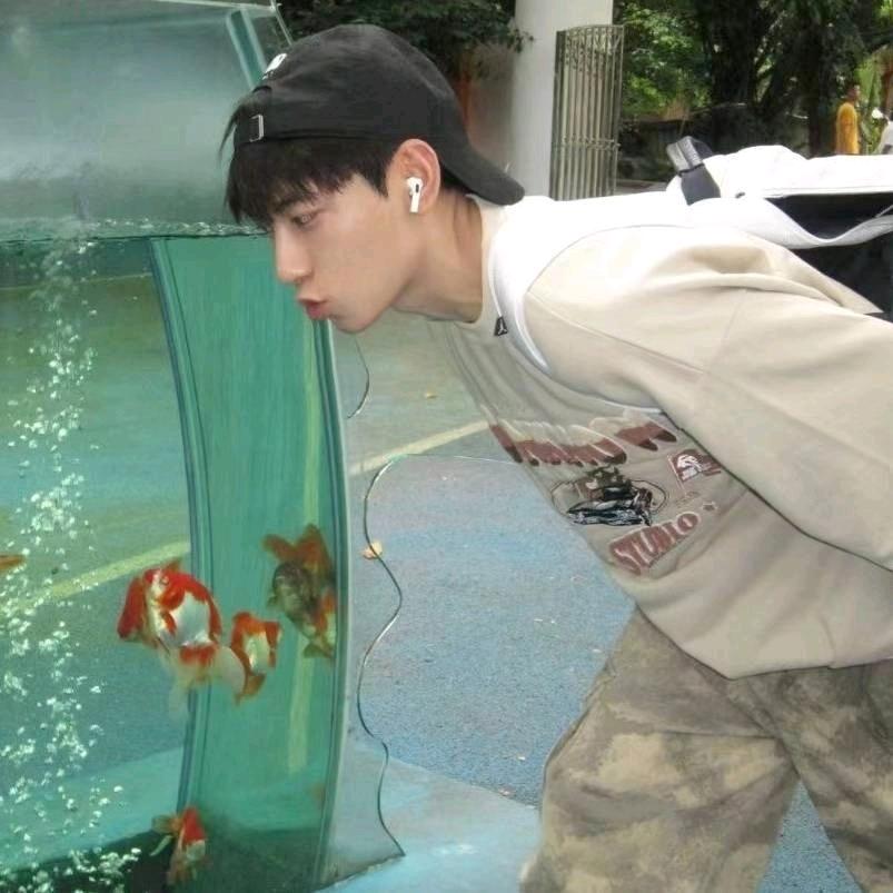 自渡混剪