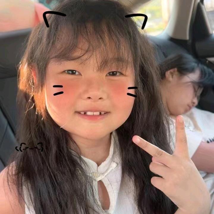 梦