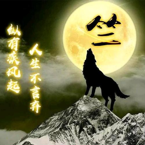 🐺🐺苍狼啸🈷️