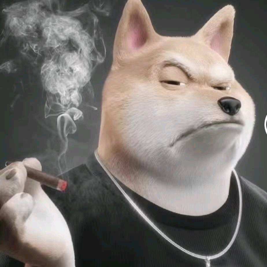🪵 财