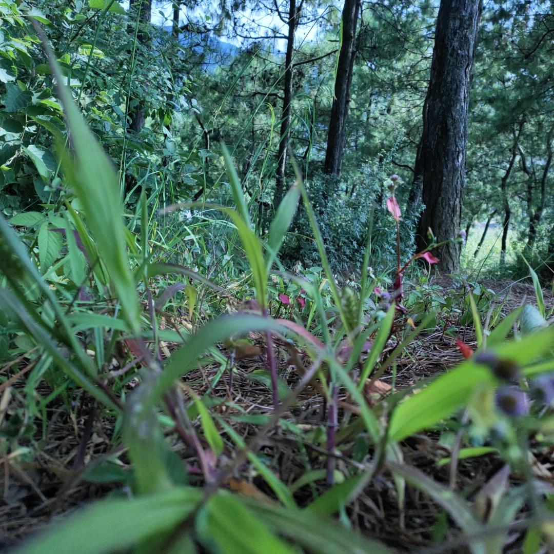 ꧁꫞终是过客꫞꧂